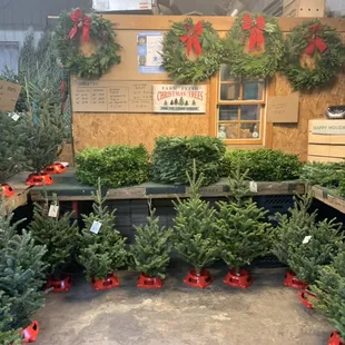 Wreaths of all types and sizes, decorated and non-decorated