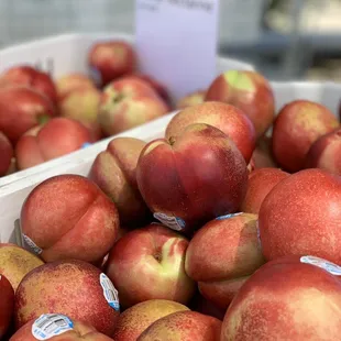 Candy Pearl White Nectarine.