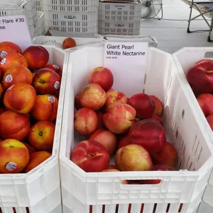a display of peaches