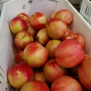Picked this morning!  7/30/18