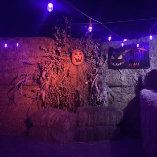 Entering to the corn maze.