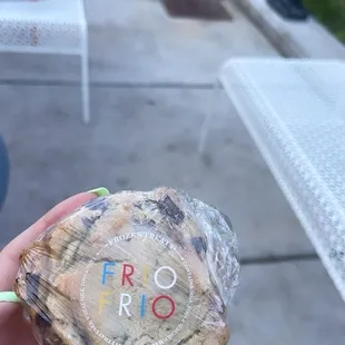 Chocolate Chunk Ice Cream Sandwich