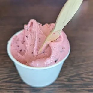 Berry Sorbet