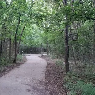 Trail