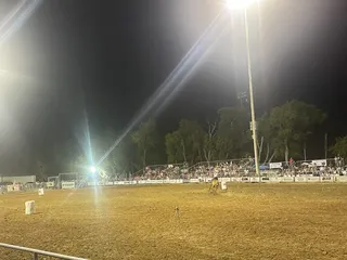 Wylie Rodeo