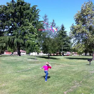 Flying a kite in the park on a windy spring day.