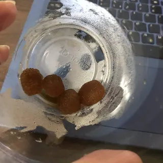 Iced Coffee
