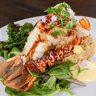 LANGOSTA|LOBSTER
Broiled in espelette butter, roasted broccolini, spring mix, lemon orzo, aioli