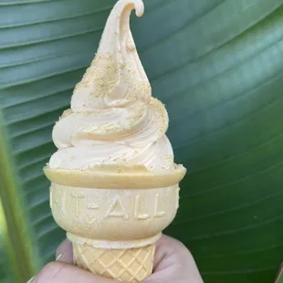 Pumpkin Pie Yogurt on a cone. Yes we are a self serve shop, but we can still give you perfect cones like that.