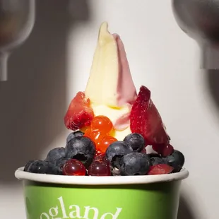 Frozen yogurt, endless toppings.