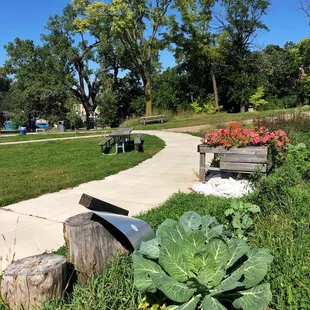 Great place to take a quick walk outside &amp; bask in the wild flower restoration efforts!