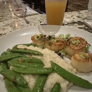 Scallops with risotto