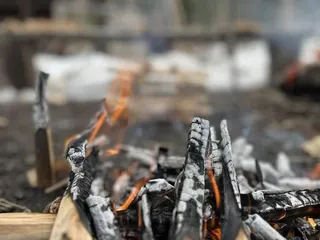 The Survival University