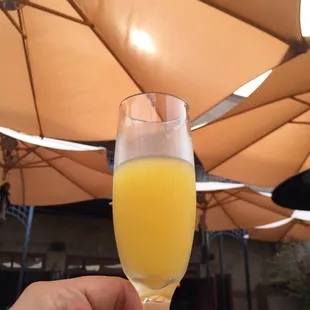 #MimosaSunday