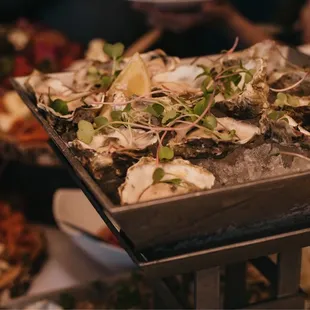 Oysters on the Half Shell (catering menu)