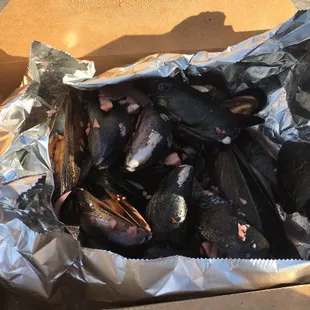 Whidby mussels