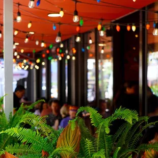 Our outdoor summer patio is covered and surrounded by beautiful greenery