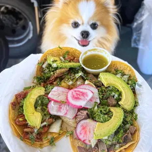 Tacos de Tripas y Tacos de Lengua, add avocado | $13 for 4 tacos including tax (+2.9% charge for CC's)