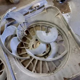 Broken fan