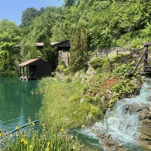 Pond, mini waterfall
