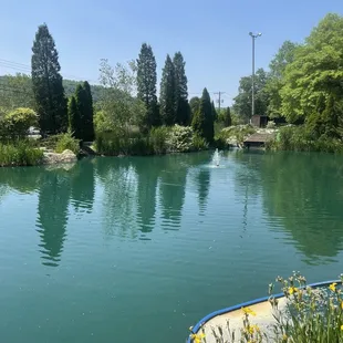 Pond