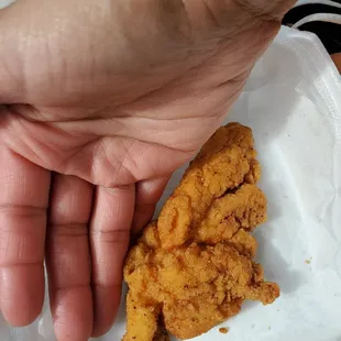 Decent sized chicken tender, and you get 3 or 4 in an order.