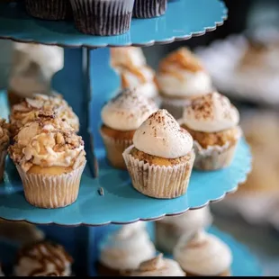 Frost Cupcake Factory
