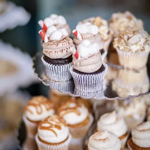 Hot cocoa, burnt almond, caramel pumpkin cheesecake, tiramisu