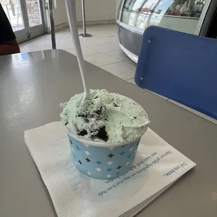 Piccolo Cup of Chicolate Mint Gelato