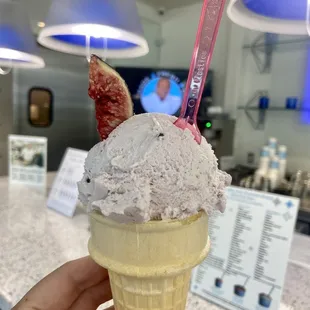 Fig gelato