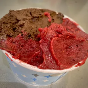 a bowl of ice cream and a scoop of chocolate