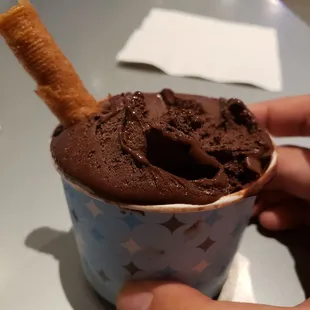 delicious dark chocolate ice cream