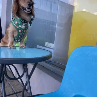 Outside kiddie tables :)