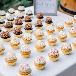 Variety of cupcake flavors, all delicious