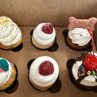 Sunday, Rasberry, Confetti, Honey, and a Pupcup for our doggy.