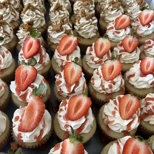 cupcakes, food, dessert