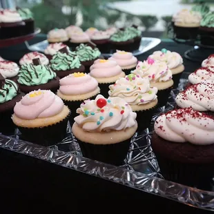 Variety Frosted Frenzy Cupcakes