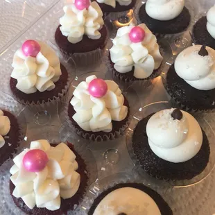 Mini cupcakes