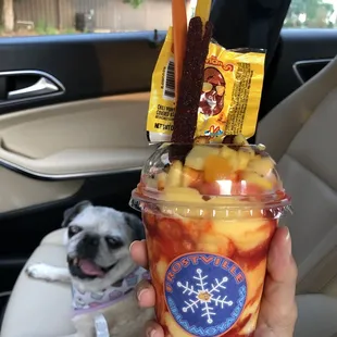 a dog sitting in a car