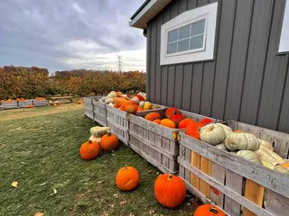 Quarry Hill Orchards