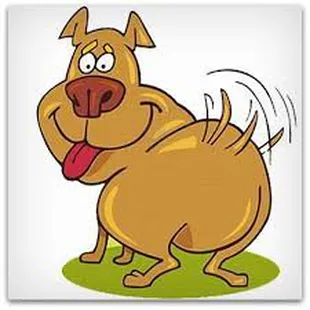 TAIL WAGGER WEDNESDAYS... $1 Pup Cups