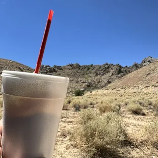Coffee Shake