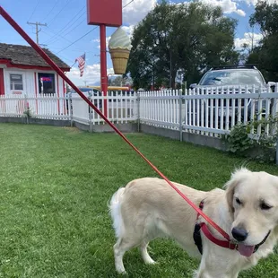 Dog friendly outdoor seating