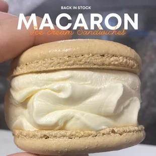 Macaron Ice Cream Sandwich