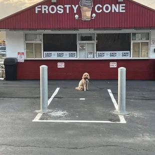 outside