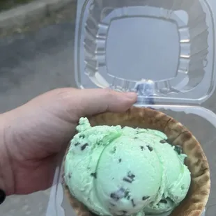 Mint Chocolate Chip in a Waffle Bowl