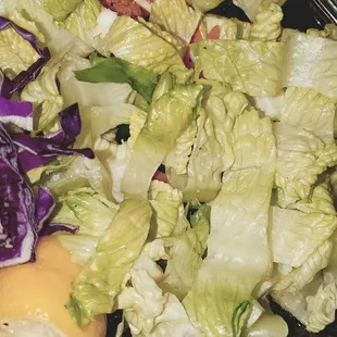More Red Cabbage and Core Heels of Lettuce Strips. Weird
