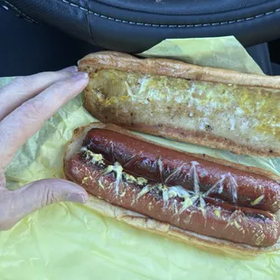 Great hotdog, grilled bun, look at the size of it compared to my hand. Every other hotdog in this whole city is half that size.
