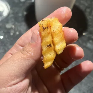 BUGS IN MY FRIES