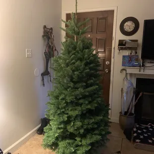 Our tiny Christmas tree for our tiny apartment.
